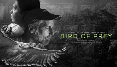 Bird of Prey Banner