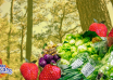 Baguio City's Strawberries & Veggies