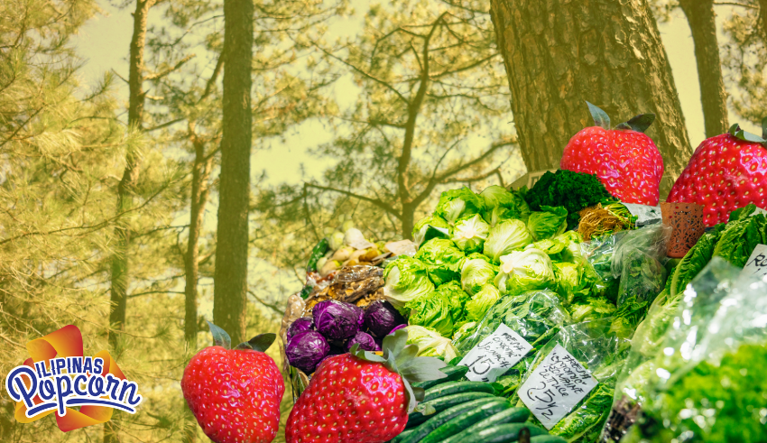Baguio City's Strawberries & Veggies